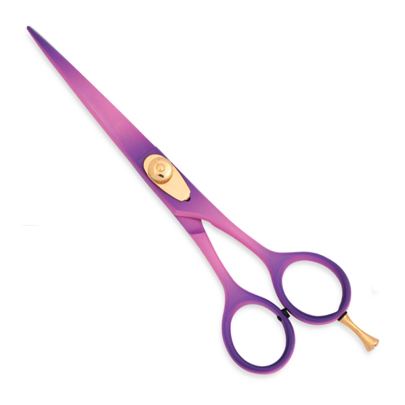 Professional Hair Cutting Scissors